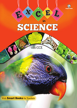 Category image
