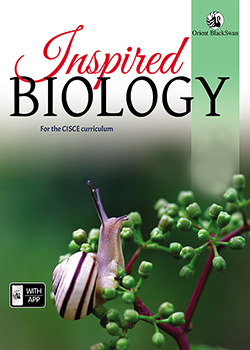 Category image